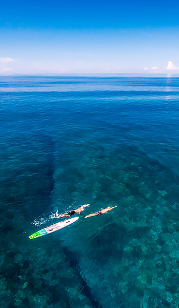 Snorkeling in Tahiti Snorkeling in Tahiti