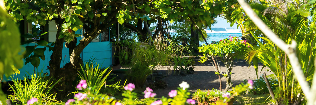 Jardin Auberge de jeunesse bord de plage