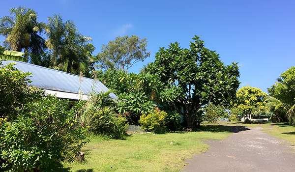 Jardin et plage